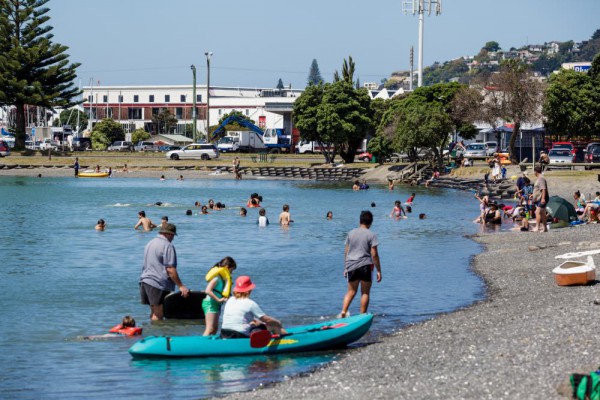 Kids' and Family Activities in Napier, Hawke's Bay